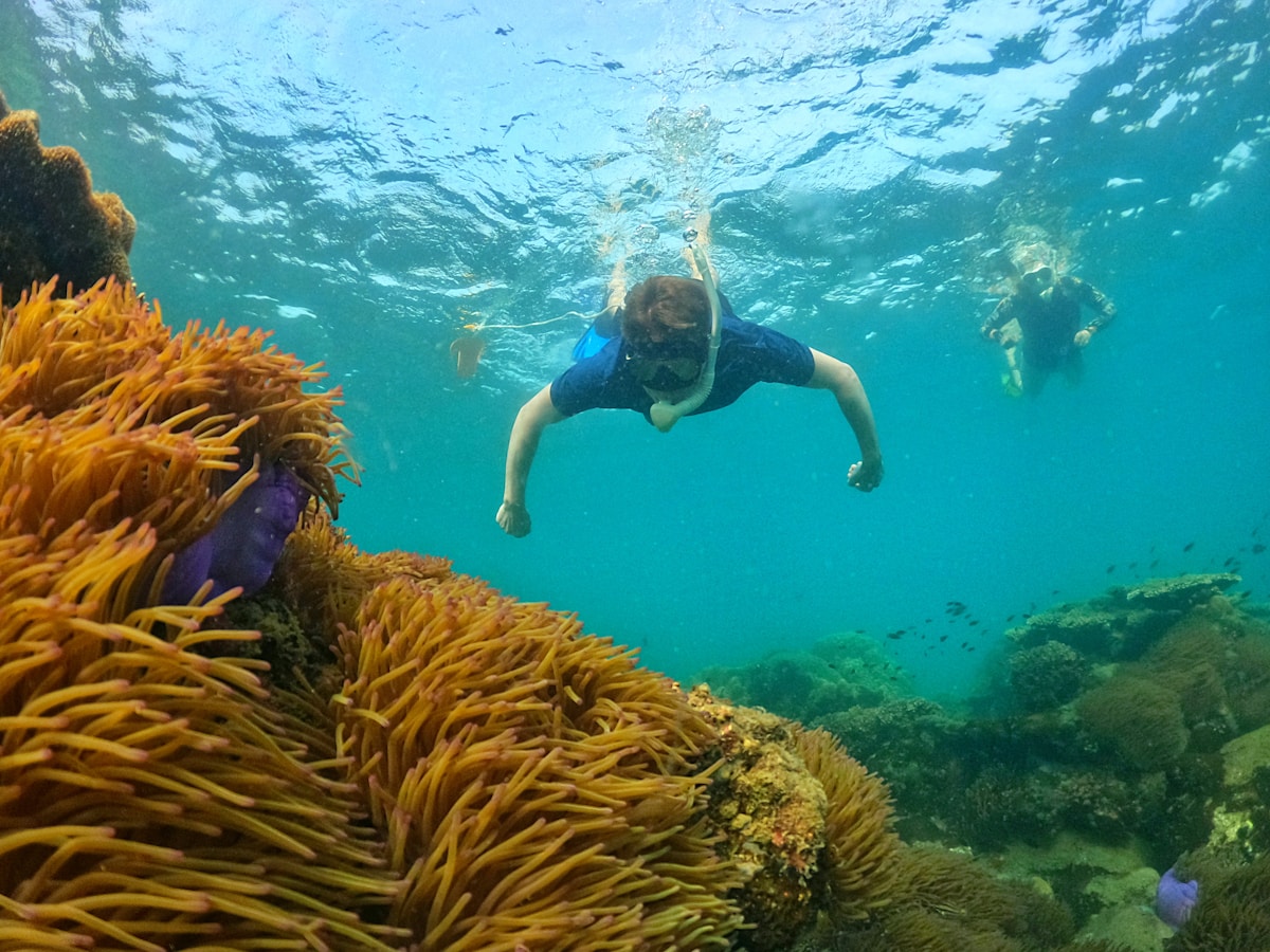 Three islands & snorkelling