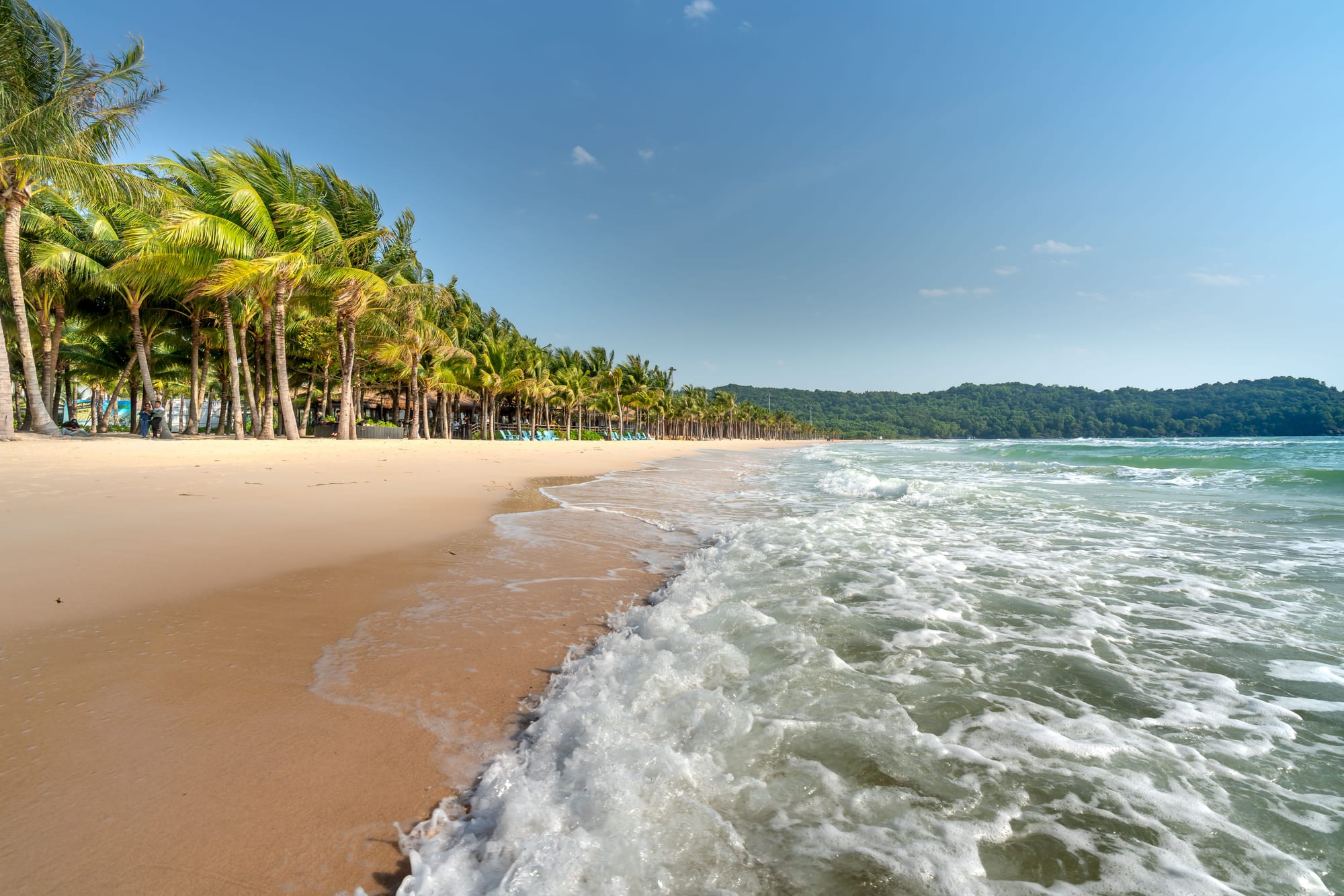 Lush green palm trees lining the sandy shore of a Phú Quốc beach under bright sky — a scene typical of Bãi Dài's undeveloped coastline
