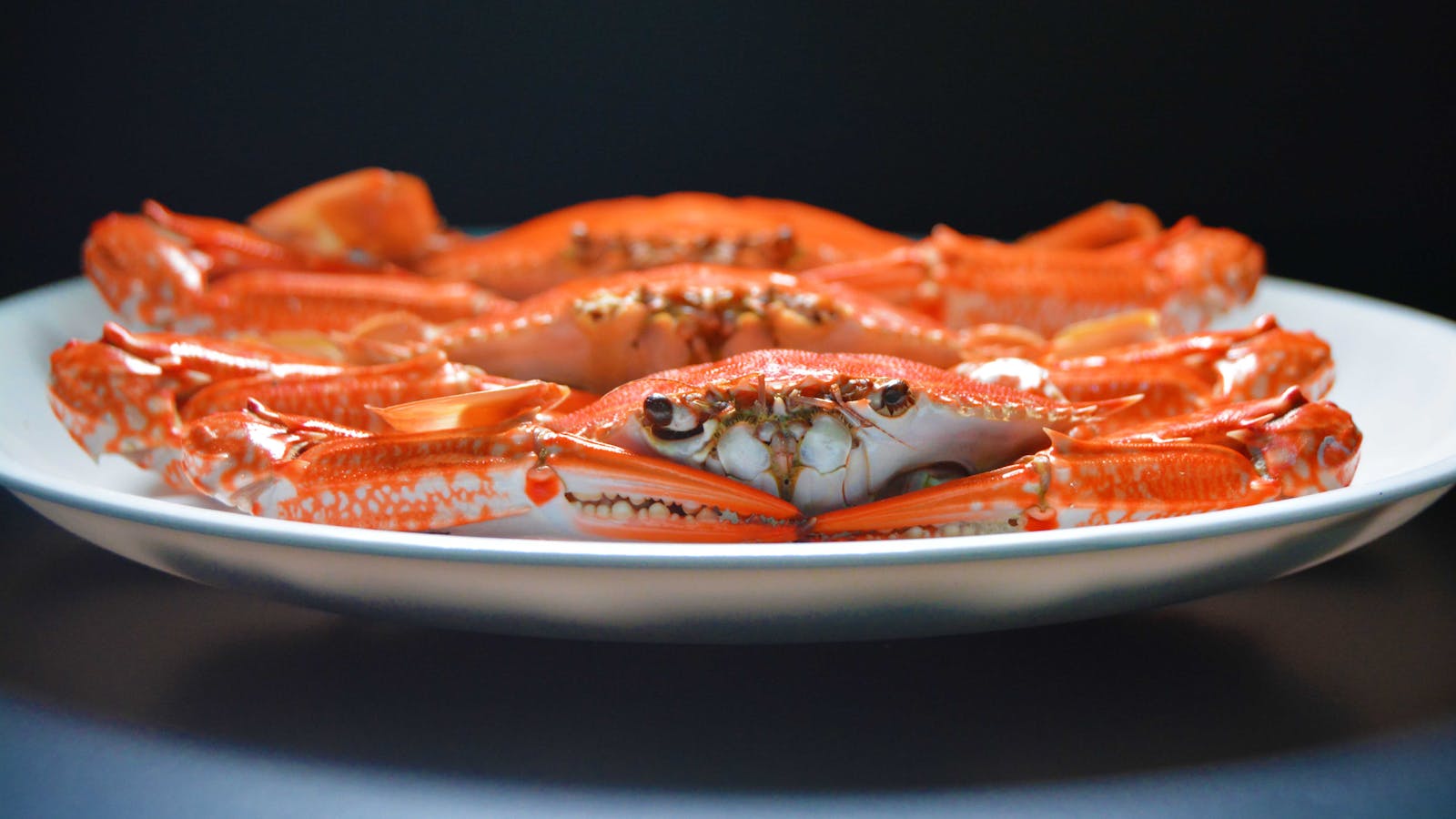 Steamed flower crab plated on white ceramic — ghẹ hoa is the standout order at Hàm Ninh fishing village, Phú Quốc