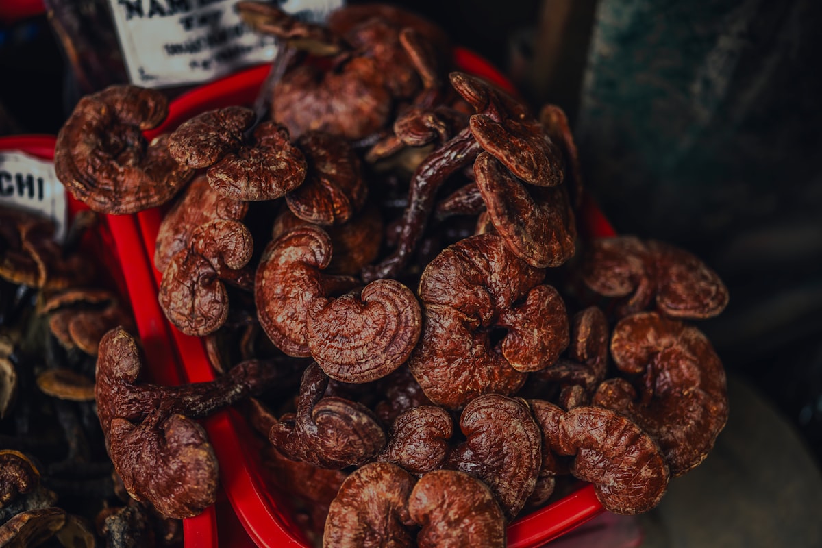 Fresh mushrooms arranged in a market tray — nấm tràm Phú Quốc is available at Dương Đông market during the July harvest window