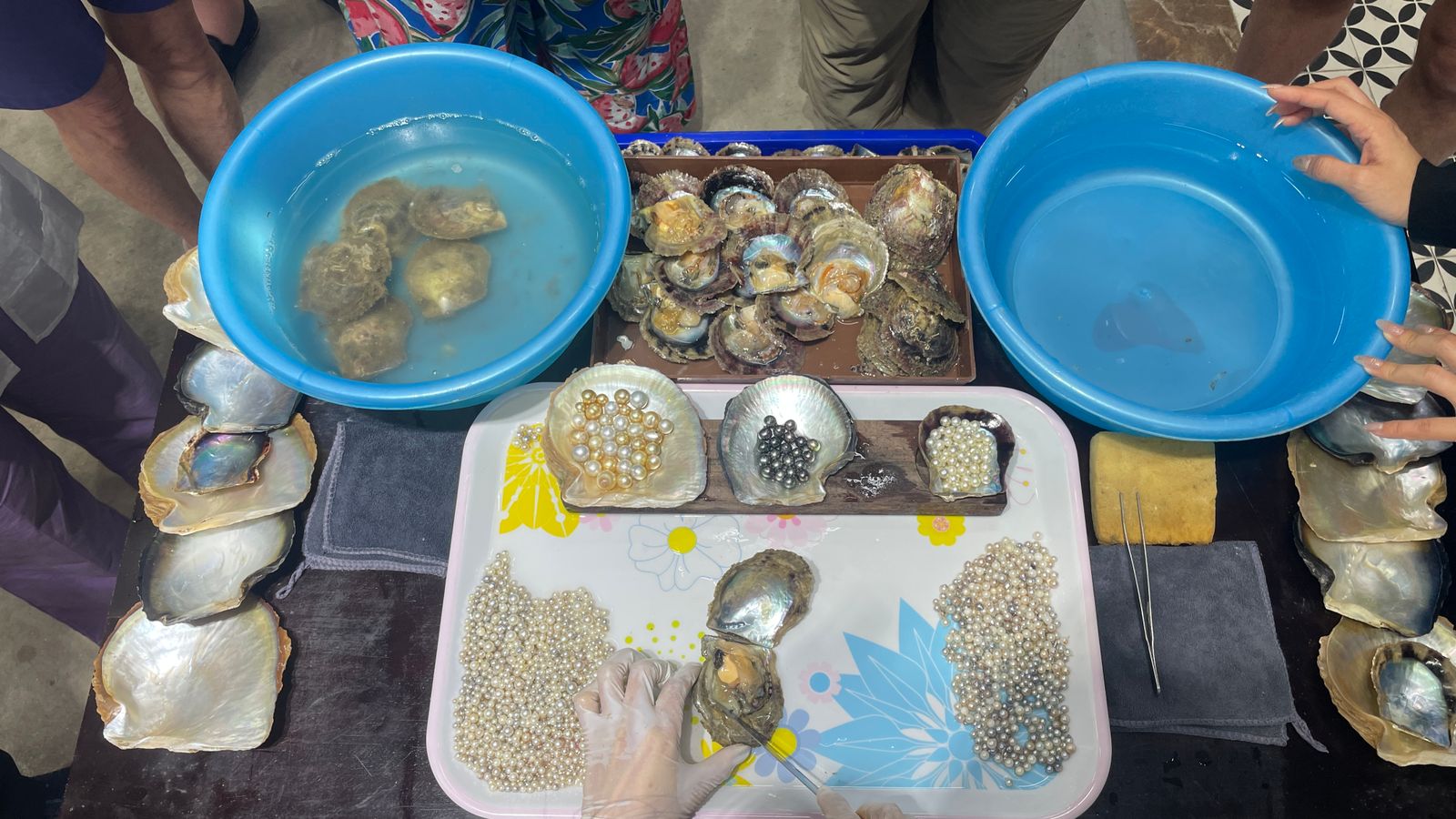 Phú Quốc pearl farms: what's free, what's real, what to skip